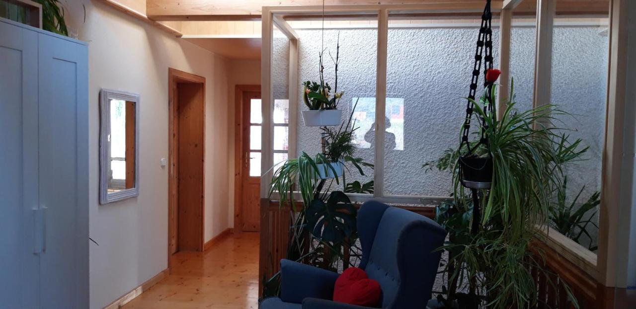 Ferienwohnung Am Fuss Des Bayerischen Waldes Верт-ан-дер-Донау Екстер'єр фото